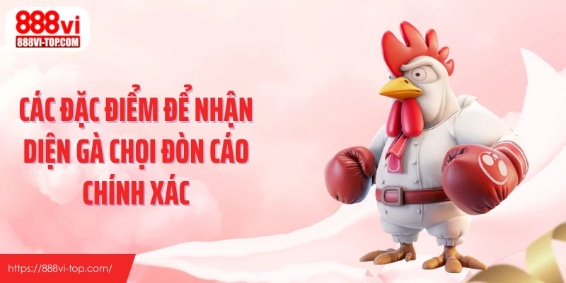 Các đặc điểm để nhận diện gà chọi đòn cáo chính xác