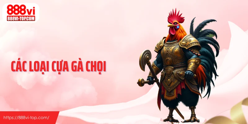 Các Loại Cựa Gà Chọi - Hiểu Đúng Để Đọc Trận Chính Xác Hơn