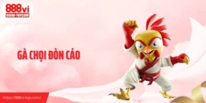 Gà Chọi Đòn Cáo - Gà Ra Đòn Hiểm Khiến Đối Thủ Gục Nhanh