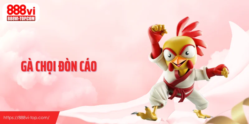 Gà Chọi Đòn Cáo - Gà Ra Đòn Hiểm Khiến Đối Thủ Gục Nhanh