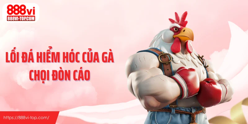 Lối đá hiểm hóc của gà chọi đòn cáo