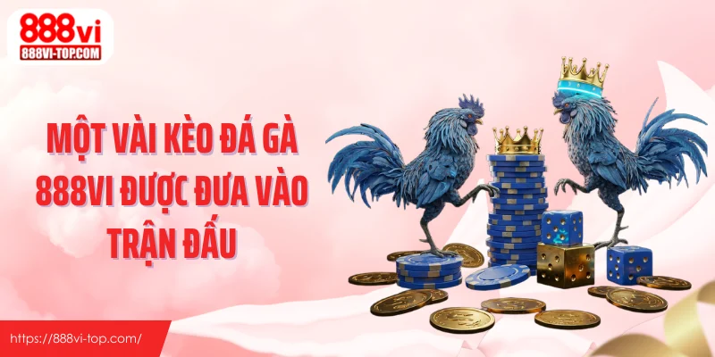 Một vài kèo đá gà 888VI được đưa vào trận đấu