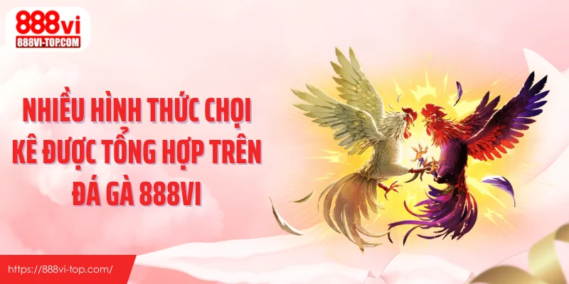 Nhiều hình thức chọi kê được tổng hợp trên đá gà 888VI