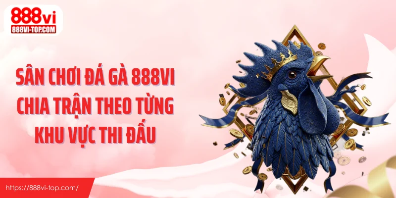 Sân chơi đá gà 888VI chia trận theo từng khu vực thi đấu