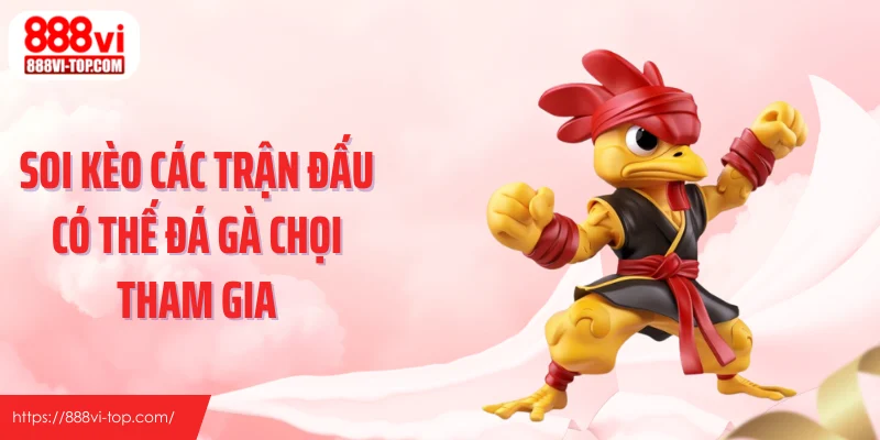 Soi kèo các trận đấu có thế đá gà chọi tham gia