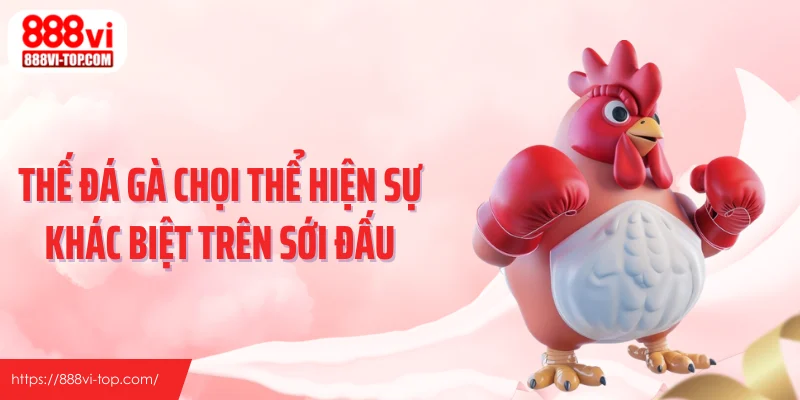 Thế đá gà chọi thể hiện sự khác biệt trên sới đấu