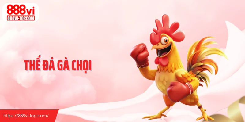 Thế Đá Gà Chọi - Vai Trò Quyết Định Cục Diện Trận Đấu